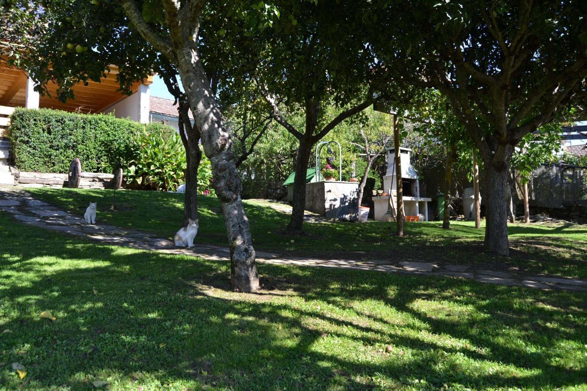 Hostal Casa Brues Boborás Exterior foto